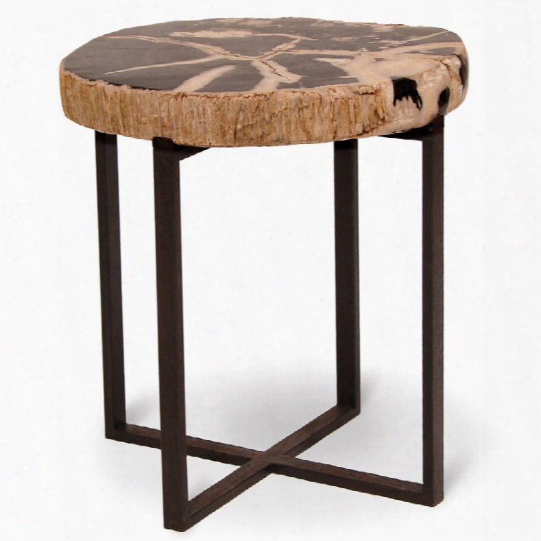 Palecek Black Petrified Wood Accent Table, Large