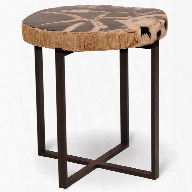 Palecek Black Petrified Wood Accent Table, Small