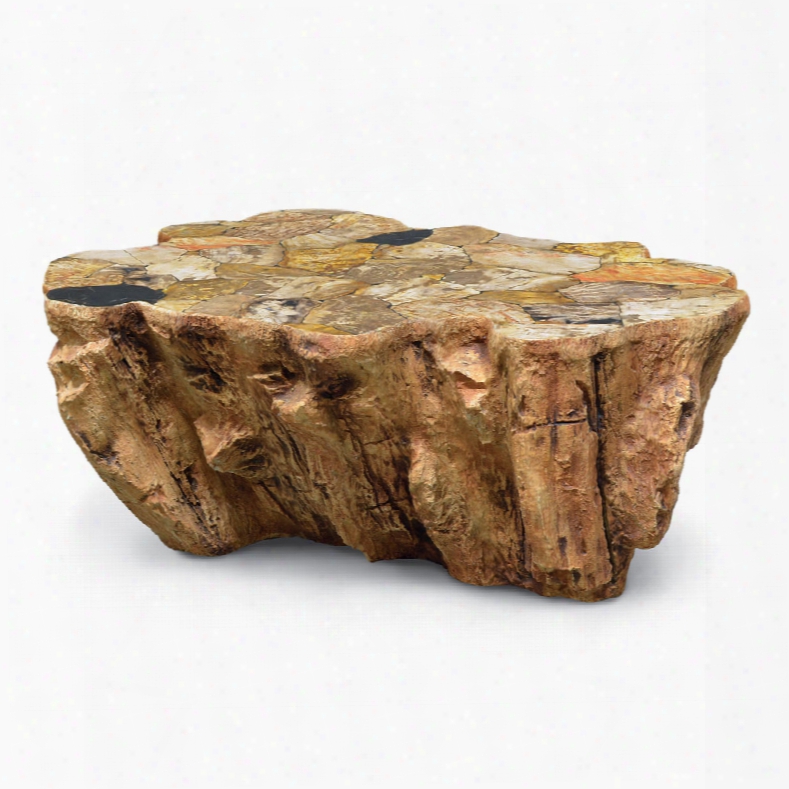 Paecek Petrified Wood Lava Coffee Table