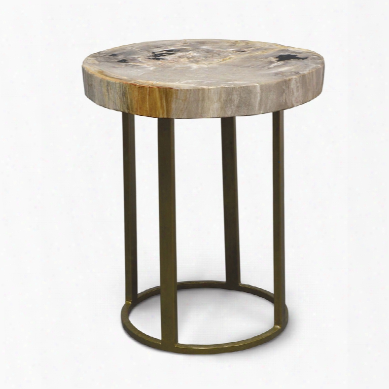 Palecek Petrified Wood Slice Table With Round Gold Base