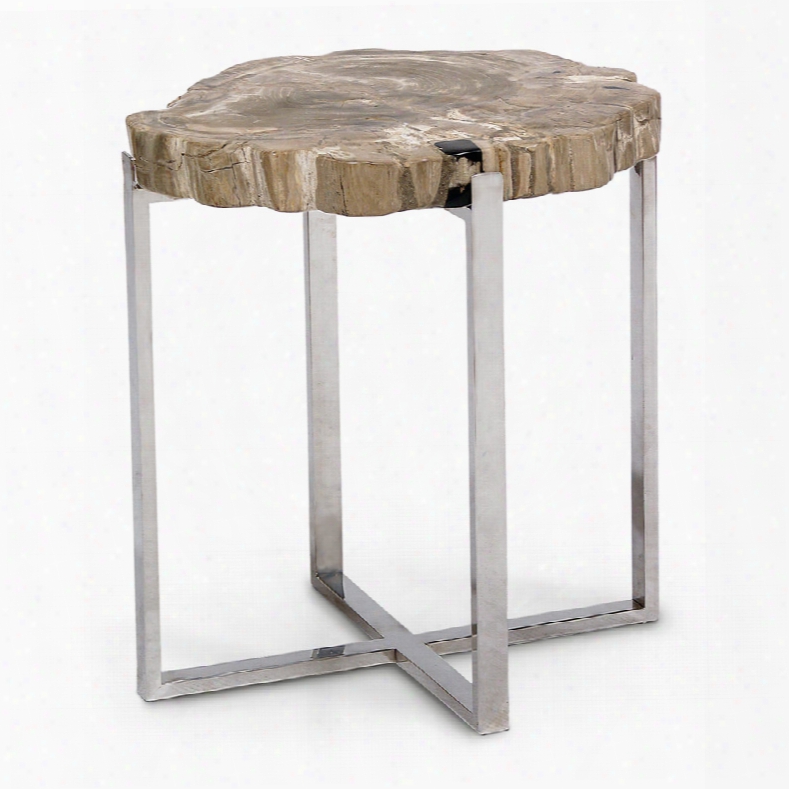 Palecek Sliced Petrified Wood Accent Table, Large