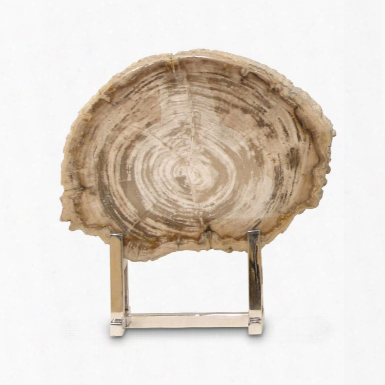 Palecek Sliced Petrified Wood With Stand, Small