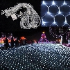 Curtain lights christmas lights 1.5*1.5m 3*2m 6*4m 8*10m led lights Christmas ornament lamp Flash Colored Fairy wedding Decor outdoor light