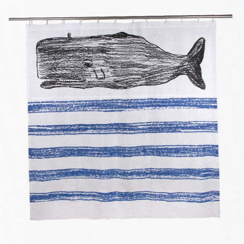 Whale Sketch Shower Curtain Design By Thomas Paul