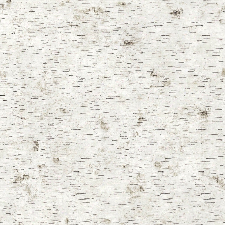 Birchy  Barky Self Adhesive Wallpaper In No Filter Natural By Genevieve Gorder For Tempaper