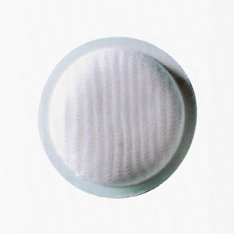 Moldex 8060 P1 Particulate Filter Pads (pk12)