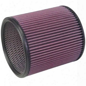 Walker Airsep Replacement Air Filter Only