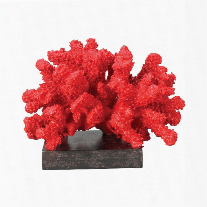 Fire Island Coral Collection 60-1540 6" Display Statue With Coral Reef Design Rectangular Case And Composite Material In Red And Black