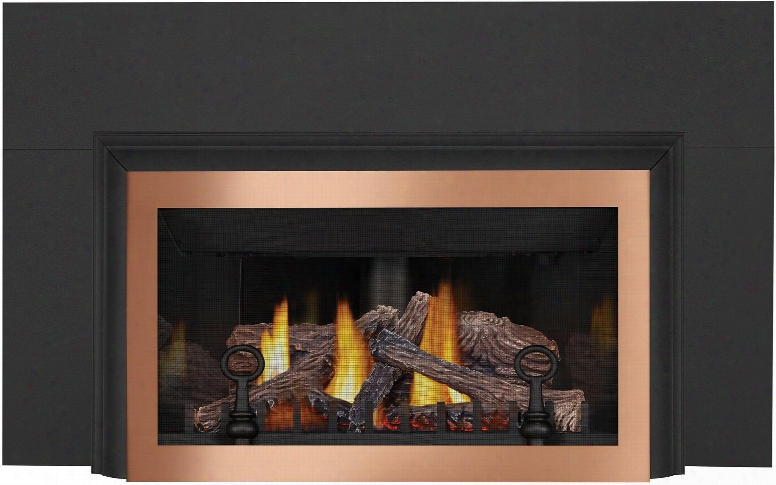 Inspiration Zc Series Gdizc-nsb 36" Direct Vent Natural Gas Fireplace Insert With Millivolt Igniti On Up To 24 000 Btu's Multi-flame Pan Burner 100% Safe