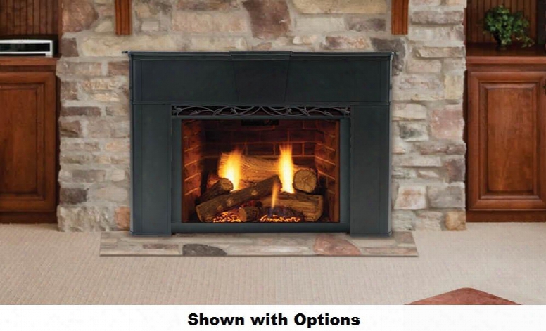 Topaz 30ildvnvsb Direct Vent Gas Insert With Tavern Brown Firebrick Natural Flame Burner System Standard Blower Safety Barrier And Millivolt Ignition