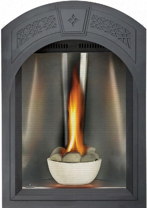 Tureen Series Gd82nt-tesb 28" Direct Vent Natural Gas Fireplace With Electronic Ignition Up To 26 000 Btus Medallion Tall Flame Burner And Heat Radiating