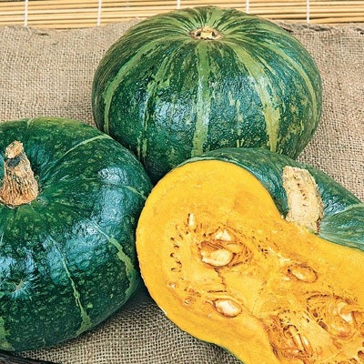 Buttercup Squash