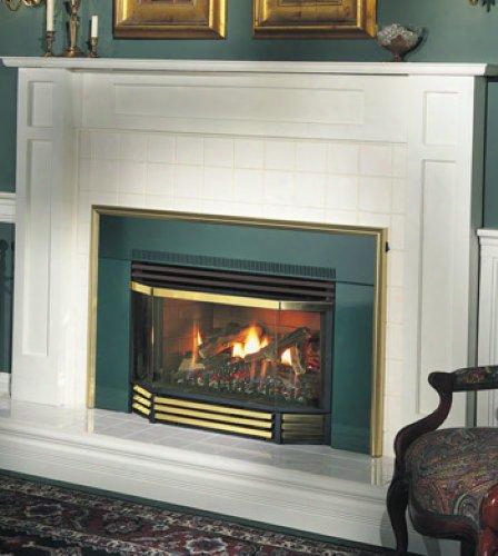 Gi3600n 25" Basic B Vent Fireplace Insert Natural Gas Remote Ready Glass