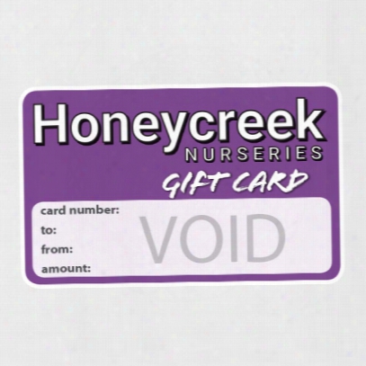 Gift Certificate - $10