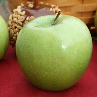 Granny Smith Dwarf Apple