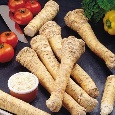 Horseradish