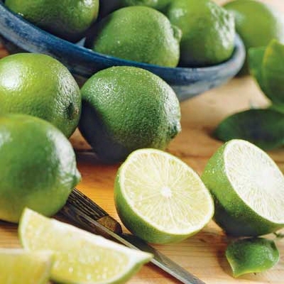 Lime Dwarf Citrus