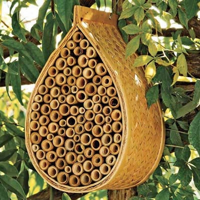 Mason Bee House