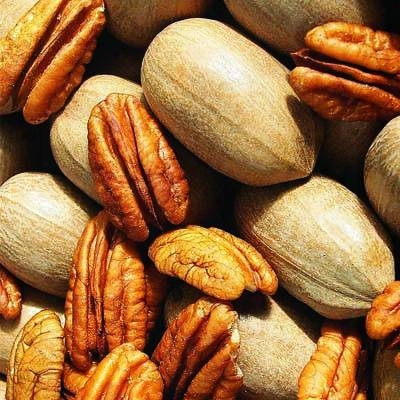 Pecan Nut