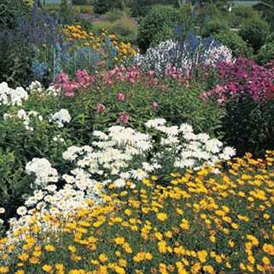 Perennial Garden Grab Bag