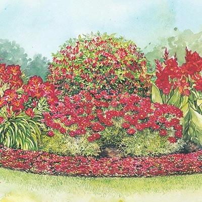Perennial Sun Collection In Red Garden