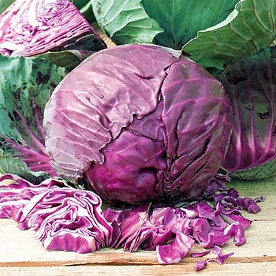 Red Acre Cabbage