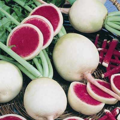 Watermelon Radish