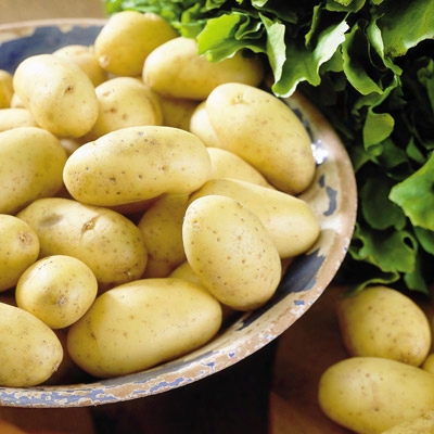 Yukon Gold Potato