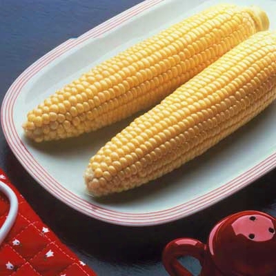 Bodacious Corn