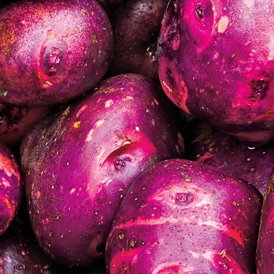 Purple Viking Potato