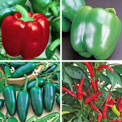 Sweet & Spicy Pepper Collection