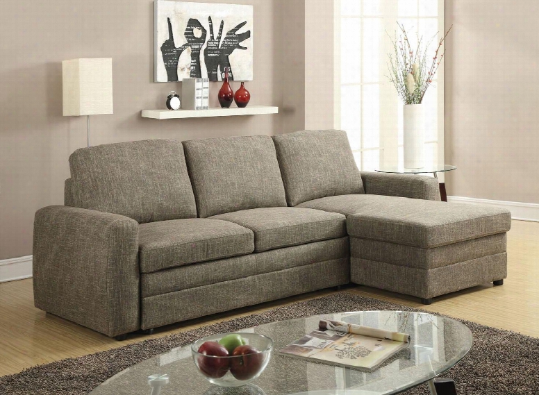 Derwyn 51645 102" Sectional Sofa With Left Facing Loveseat Right Arm Facing Storage Chaise Pull-out Bed Loose Back Cushion And Fabric Upholstery In Light