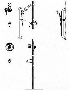 T13h983-20 Monitor 13 Series Tub And Dual Shower Trim Diverter Hand Shower And Grab