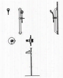 T17th255 Tempassure 17t Series Tub Trim With Hand Shower And Grab