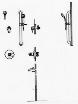 T17th905 Tempassure 17t Series Tub And Dual Shower Trim Diverteer Hand Shower And Grab