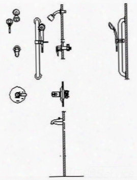 T17th935 Tempassure 17t Series Tub And Dual Shower Trim Diverter Hand Shower And Grab