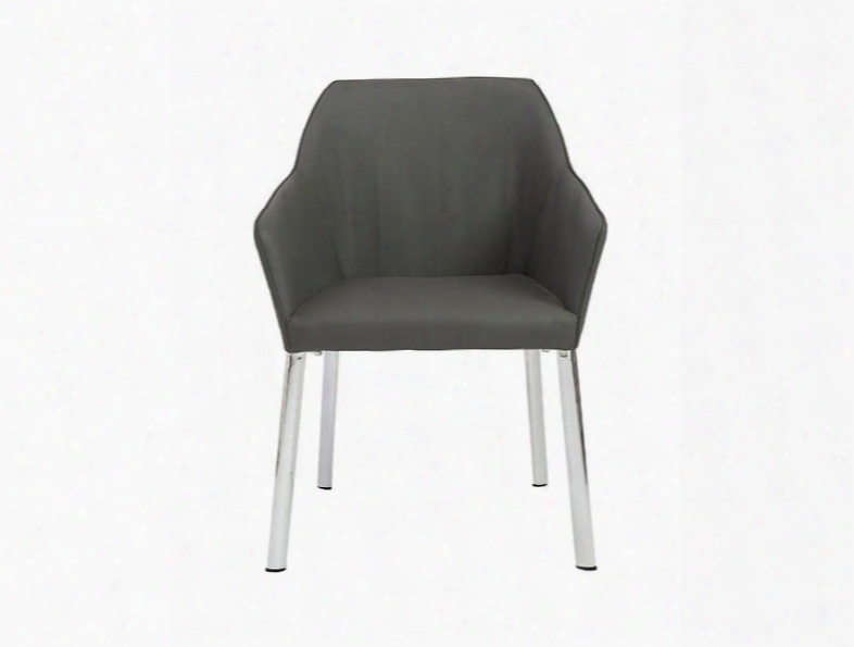 Set Of Two Eagan Arm Chairs In Dark Grey Design By Euro Style