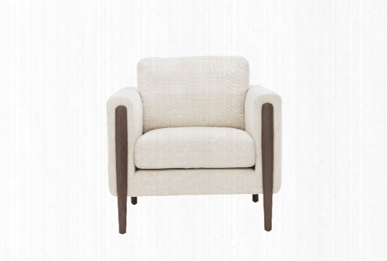 Steen Single Seater Chair In Various Colors Design By Nuevo