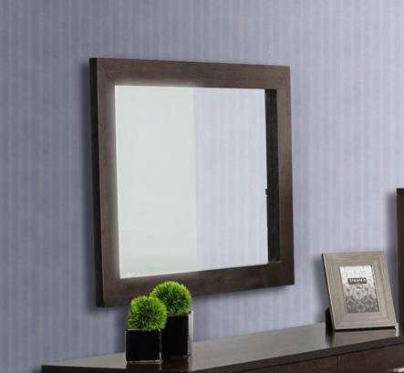 Vgdeb1030-wge Modrest Bravo 29" Rectangular Mirror In Wenge Glossy