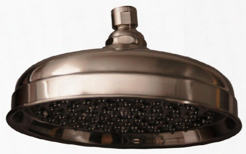 5589-sn 10 Euro Showerhead 126 Brass & Rubber Nozzles Brush