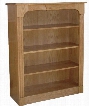 365-302 Passaic Bookcase