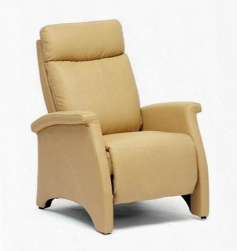 A-060 Sequim Series Mdoern Recliner Club Chair: