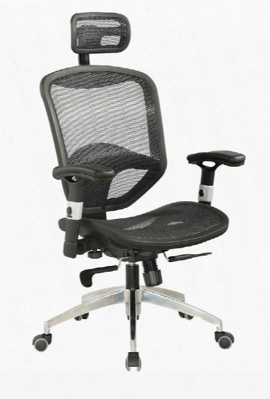 4025-cch Mesh Seat & Back With Headrest Multi Adjustable Pneumaatic Gas Lift Office Chair - Lack /