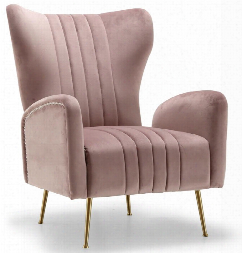 Opera Collection 532pink 29" Accent Chair With Velvet Gold Stainless Legs And Nail Head Trim In