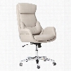 RTA-1007-BG Best Ergonomic Home Office Chair with Lumbar