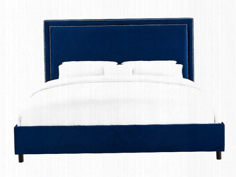 Reed Collection Tov-b37 Navy Velvet Queen