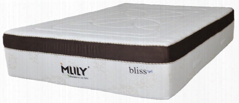Bliss Collection Bliss15ck California King Size 15" Mattress With Bamboo Infused Memory Foam Silk Cover Pressure Relieving Comfort Gel Foam Bamboo Charcoal