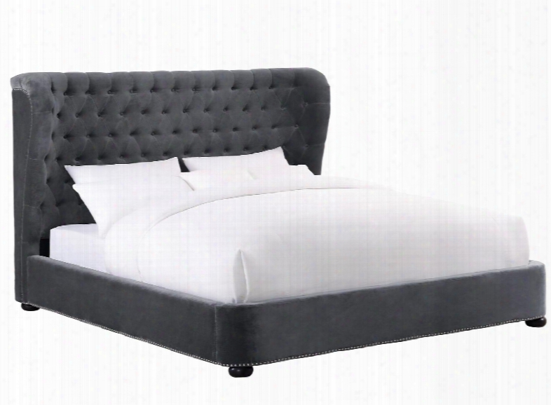 Finley Collection Tov-b23-q Grey Velvet Queen