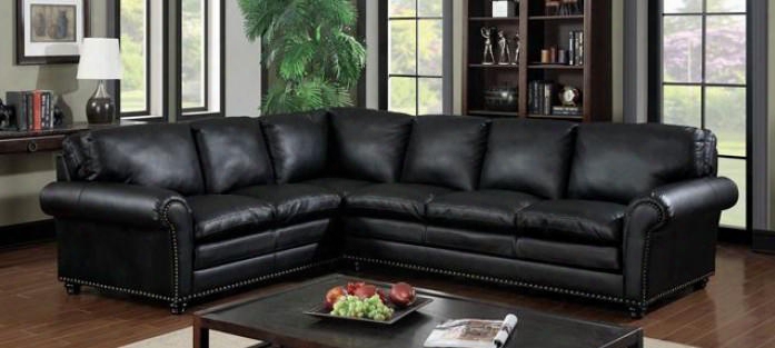 Payette Collection Cm6808-sectional 120" 2-piece Sectionl With Plush Cushions Nailhead Trim And Bonded Leather Match In