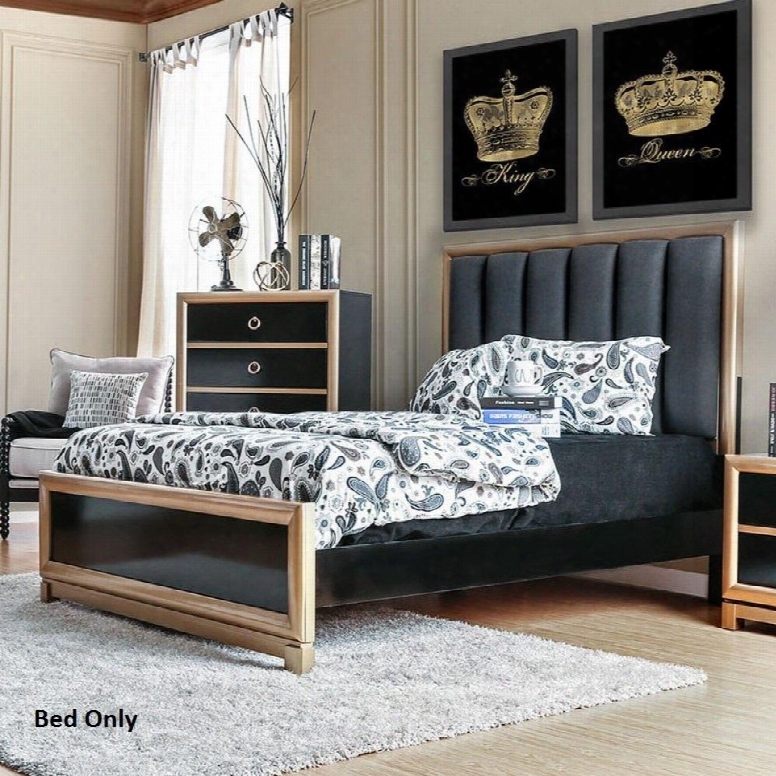 Braunfels Collection Cm7263q-bed Queen Size Bed With Gold Trim Upholstered Headboard Solid Woo Dand Wood Veneers Construction In Black And Gold